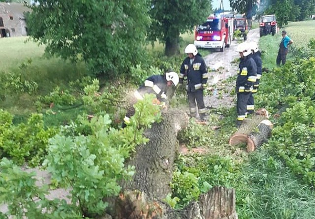 Strażacy z Pruszcza usuwali drzewo na drodze Niewieścin-Suponin