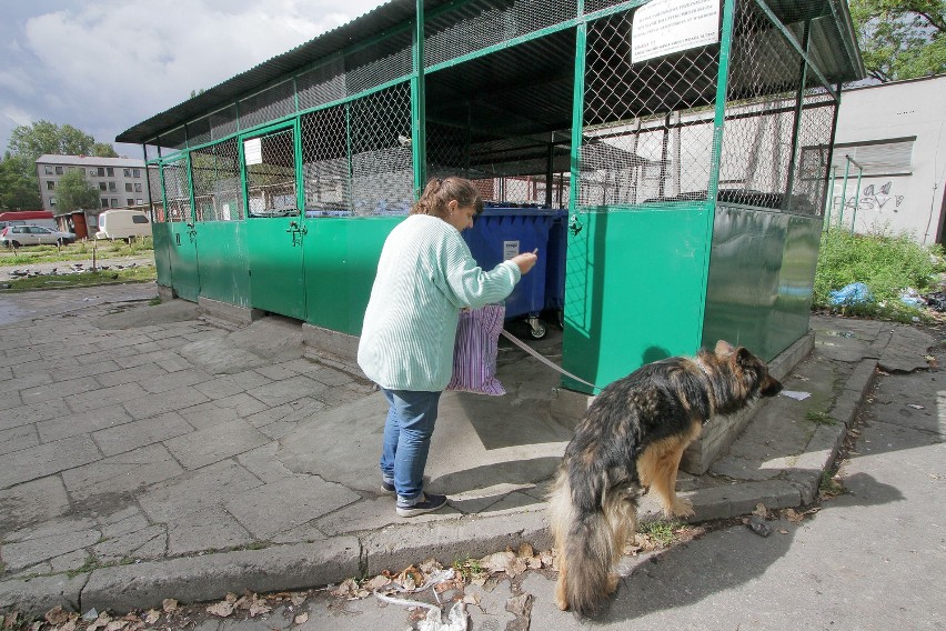 - Przez pierwsze tygodnie po wprowadzeniu nowych zasad...