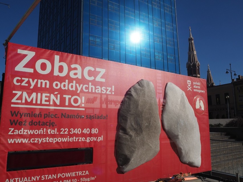 Łódzkie płuca zniknęły z centrum Łodzi. Przez dwa tygodnie...