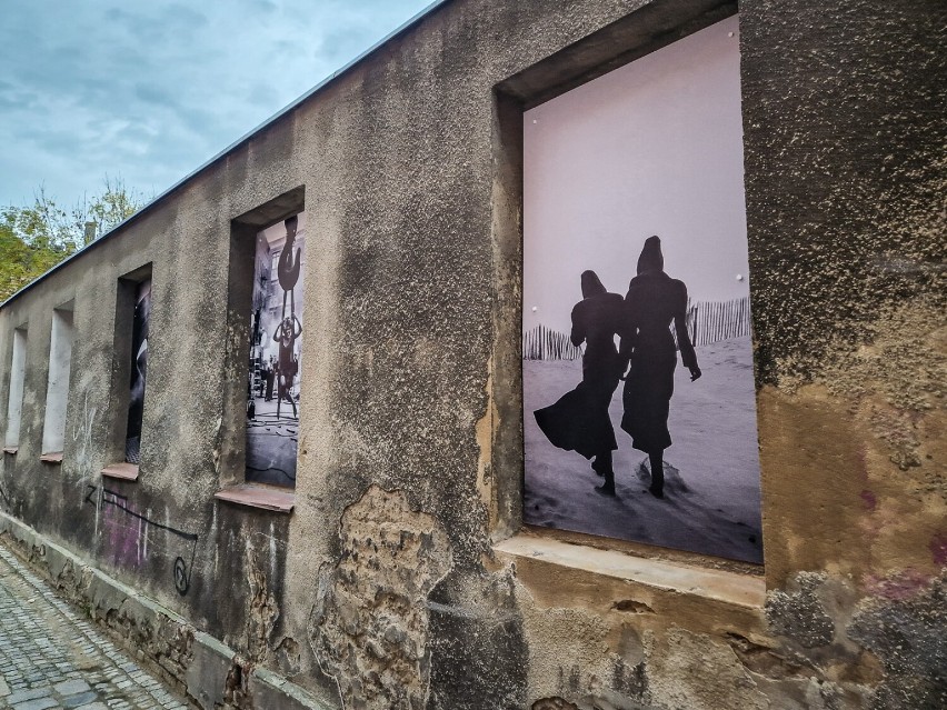 Niecodzienna wystawa zdjęć w wyburzanej kamienicy w Lesznie
