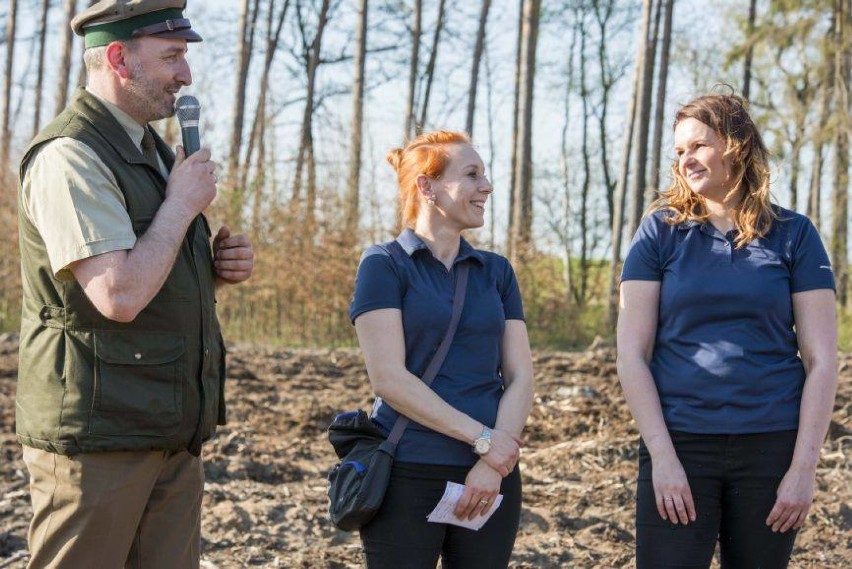 Powiat chodzieski: Przedszkolacy z Chodzieży i Margonina sadzili las [ZDJĘCIA]