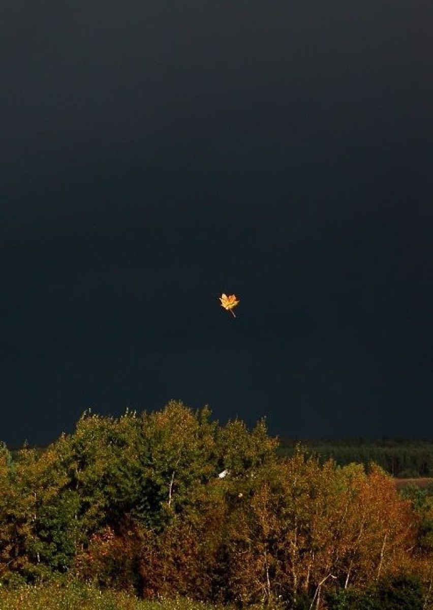Kaszuby 09.10.2012 - załamanie pogody. Fot. Artur Hampel