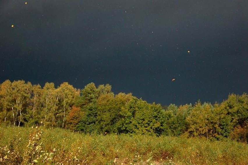 Kaszuby 09.10.2012 - załamanie pogody. Fot. Artur Hampel