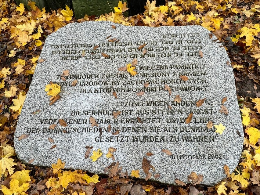 Cmentarz na Górze Żydowskiej w Złotowie w jesiennej odsłonie