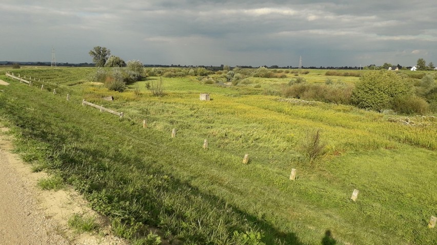 Trasa Velo Raba prowadzi wzdłuż rzeki Raba od Uścia Solnego...