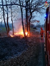 W Jastrzębiu płoną trawy. Sześć strażackich interwencji w ciągu zaledwie kilku godzin. Paliło się na Stromej, Sybiraków i Kościelnej