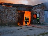 Pożar na fermie drobiu w Mąkoszycach. W kurnikach spłonęło i udusiło się kilkadziesiąt tysięcy kurcząt