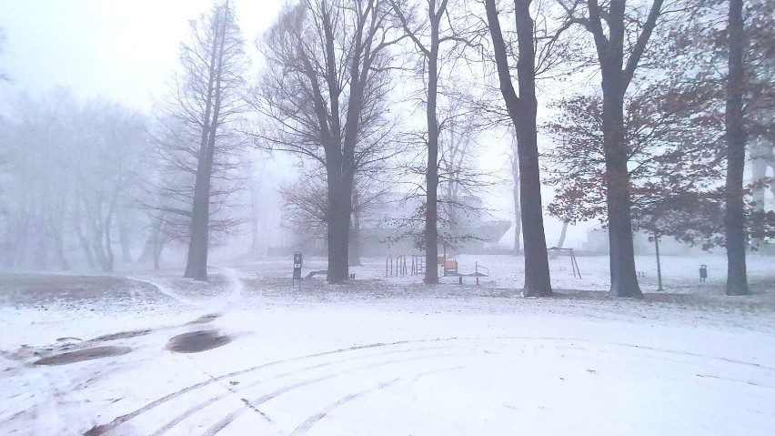 Śnieżyca w Żarach