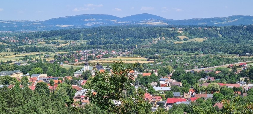 Leśne molo w Starym Sączu to hit wycieczek