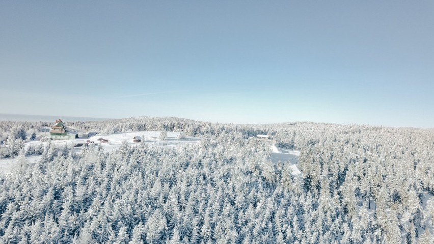 Zimowe ferie w stacji narciarskiej Zieleniec Ski Arena [ZDJĘCIA]