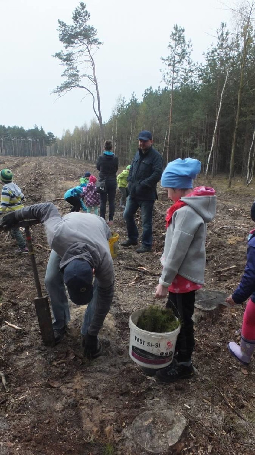 Przedszkolaki pomagały sadzić drzewka [ZDJĘCIA]