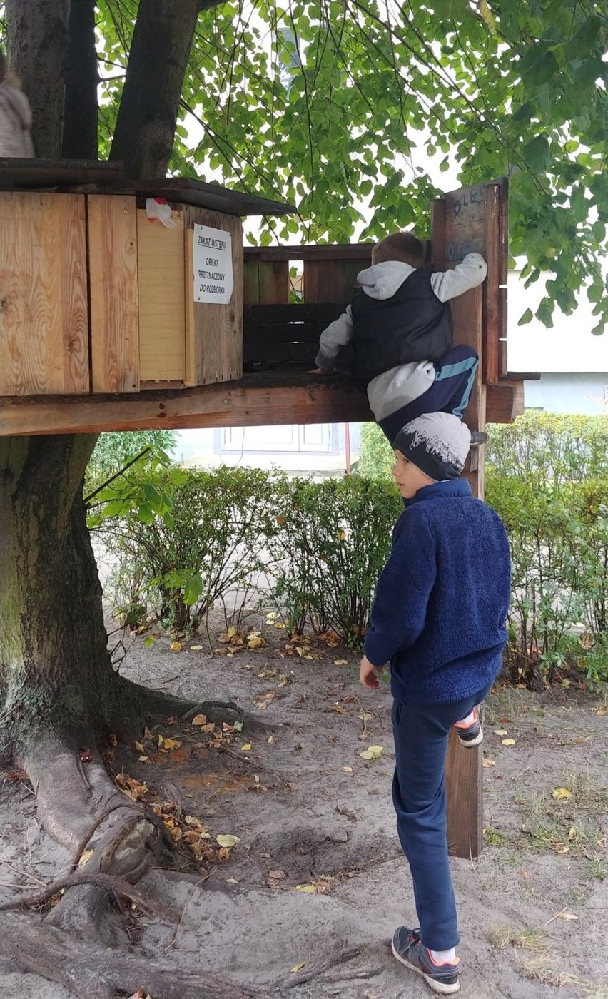Sopot: Rodzice zbudowali swoim dzieciom domek na drzewie. Po trzech latach atrakcja zaczęła przeszkadzać administracji osiedla