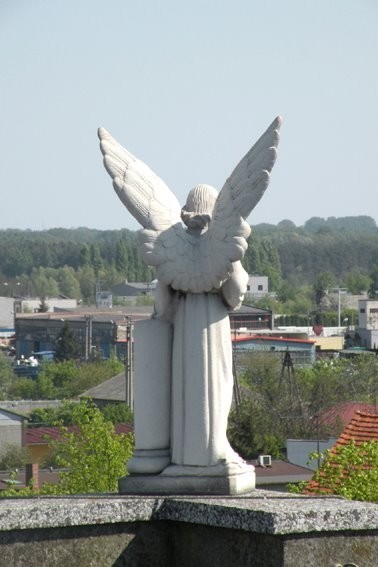 Pleszew z góry w obiektywie Pawła Kostuja. Jak się zmienił na przestrzeni lat?