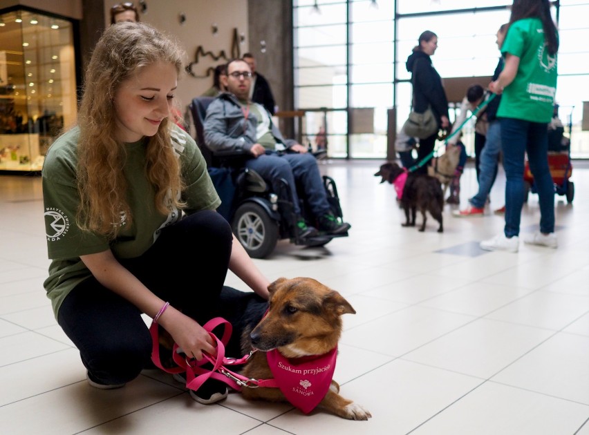 W Galerii Sanowa odbyła się akcja adopcji psów. 10...