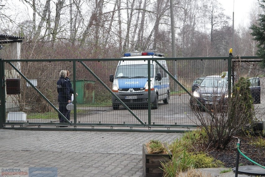 Policjantki pomagają zwierzakom 
Do włocławskiego schroniska...