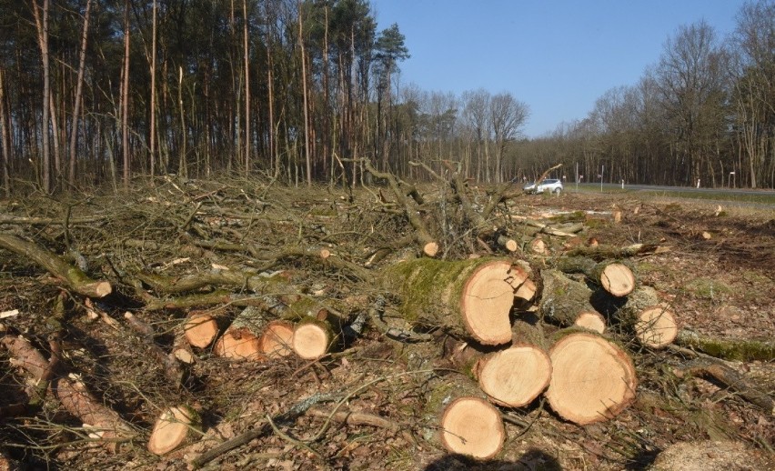 Jak informuje inspektor ds. zabytków archeologicznych,...