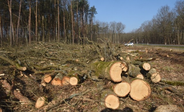 Jak informuje inspektor ds. zabytków archeologicznych, dokładna liczba grobowców jest trudna do ustalenia.