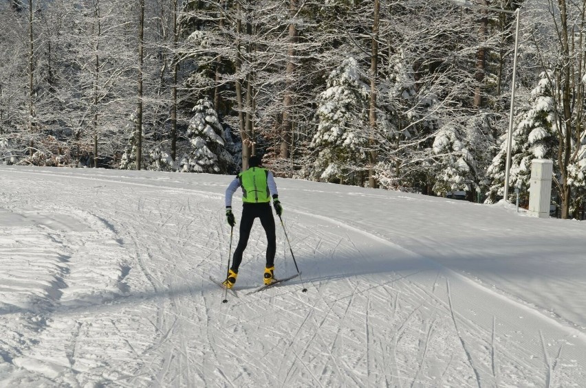 Trasy do narciarstwa biegowego w Zakopanem