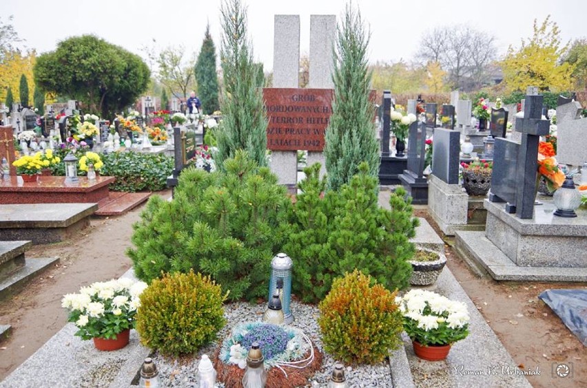 Wszystkich Świętych 2016 - pleszewskie cmentarze