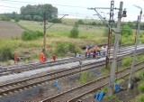 PKP Polskie Linie Kolejowe S.A. kontynuują remonty 