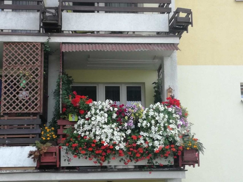 Najpiękniejsze balkony i ogródki na Osiedlu Południe w Starachowicach. Zobacz zdjęcia