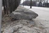 Murek okalający park Skaryszewski zostanie wyremontowany