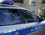 Tczew: policja zatrzymała podejrzanego o kradzież na czterech działkach