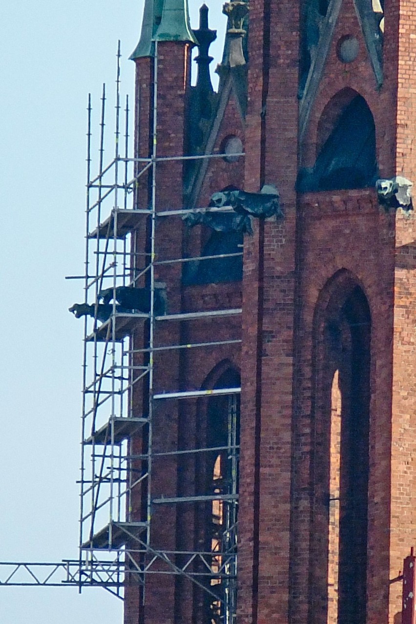 Przy wieżach fary stanęły rusztowania. Specjaliści zbadają stan wież kościoła [FOTO]