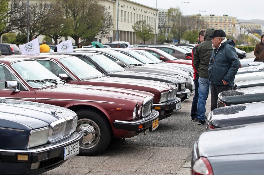 Wystawa jaguarów w Gdyni