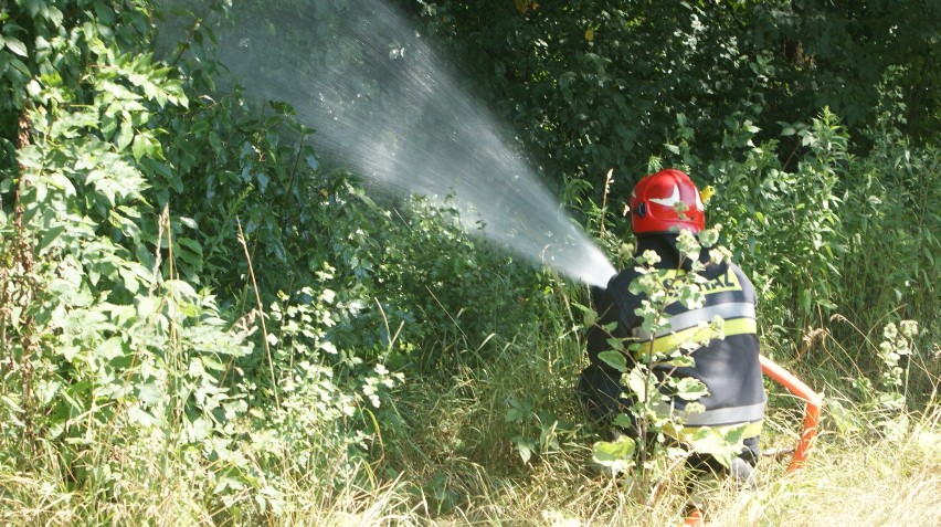 Pożar lasu przy stawie Rzęsa [ZDJĘCIA]