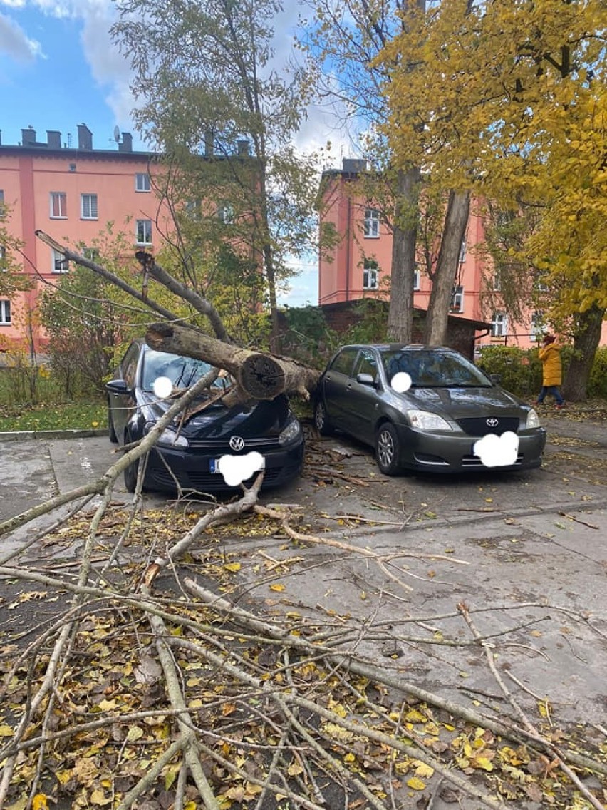 Silny wiatr w Bydgoszczy i okolicach. Strażacy w regionie mają mnóstwo interwencji! 