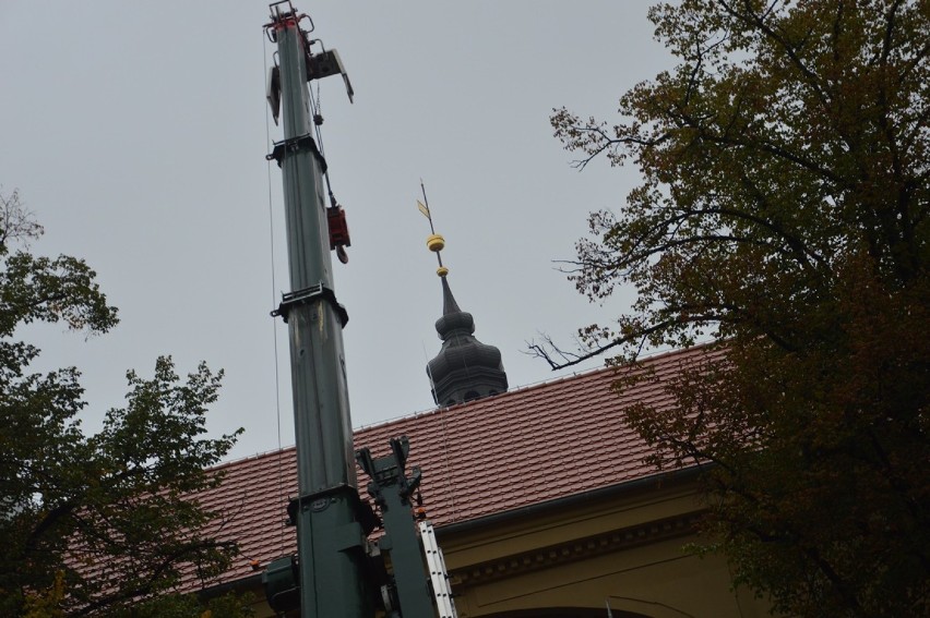 Historyczny moment na zdjęciach. Postawili popiersie Gryphiusa nad wejściem do teatru 