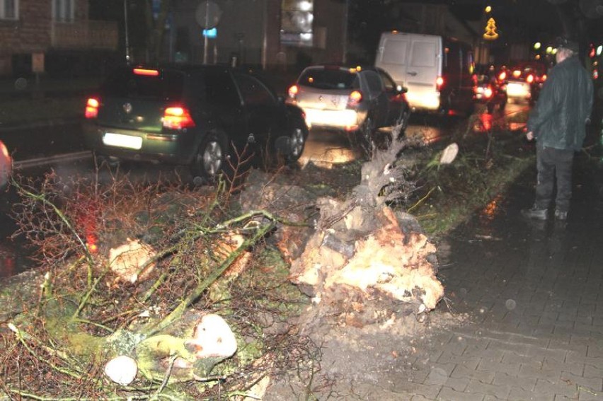 Drzewo runęło na auto w Wolsztynie