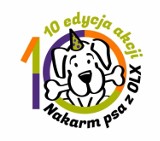 Nakarm psa z OLX i wspomóż schronisko w Gaju! Obejrzyj film dlaczego warto się zaangażować