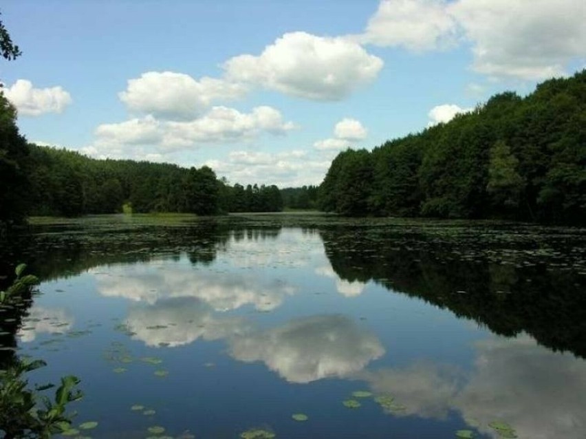 Czarna Hańcza to typowa rzeka nizinna o charakterze leśnym,...