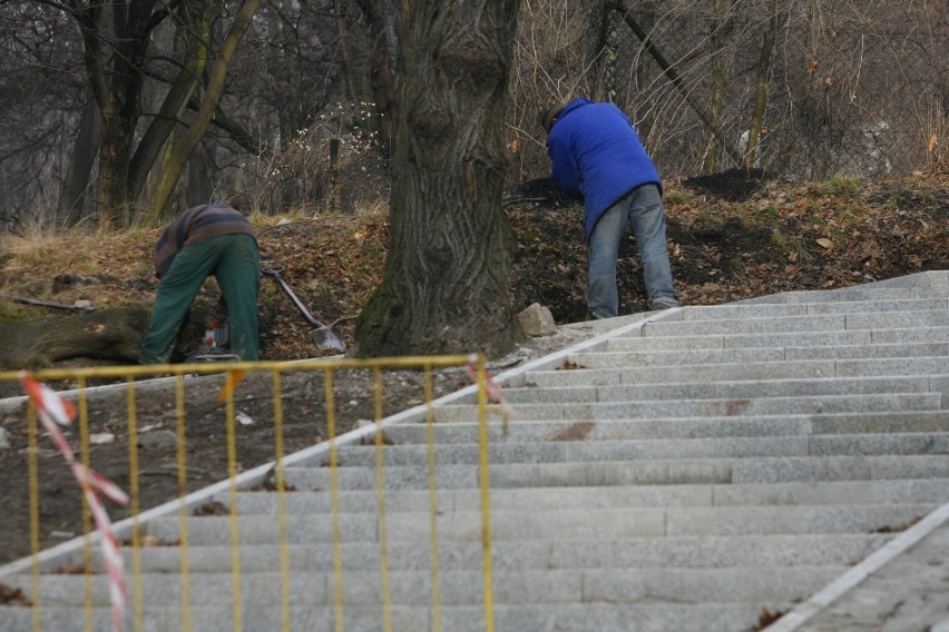 Rewitalizacja Parku Sobieskiego w Wałbrzychu od strony ul....