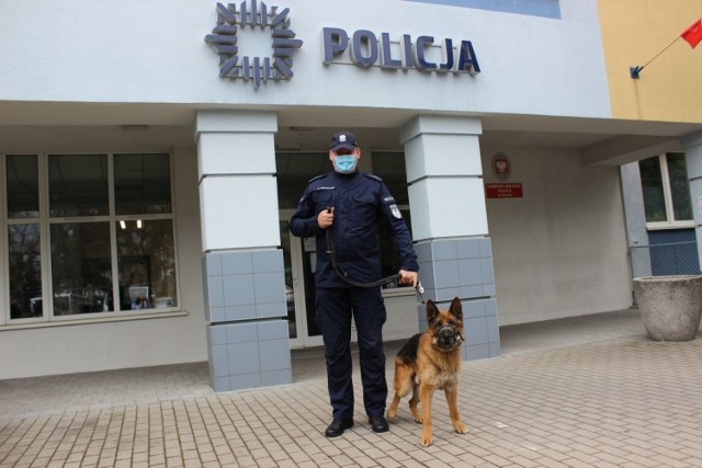 Gabon czyli Ali razem ze swoim przewodnikiem asp. Maciejem Bruszkowskim przed Komendą Miejską Policji w Toruniu