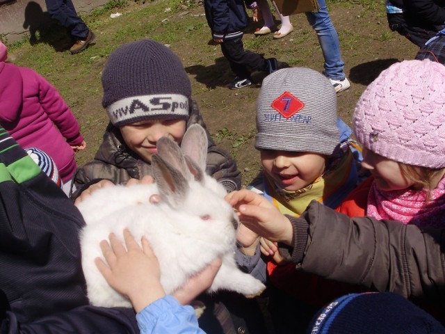 Śniadanie wielkanocne w Przedszkolu Grzybek.