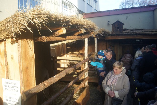 Żywa szopka przy Sanktuarium św. Józefa w Kaliszu