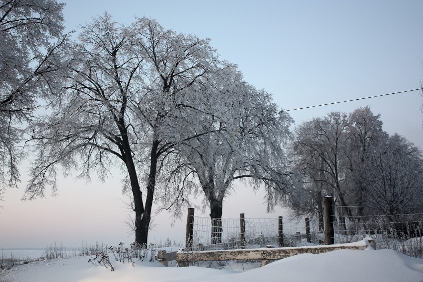 ul. Skarszewska 14.01.2010