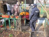 Poszukiwania bezdomnych w Stalowej Woli [ZDJĘCIA]