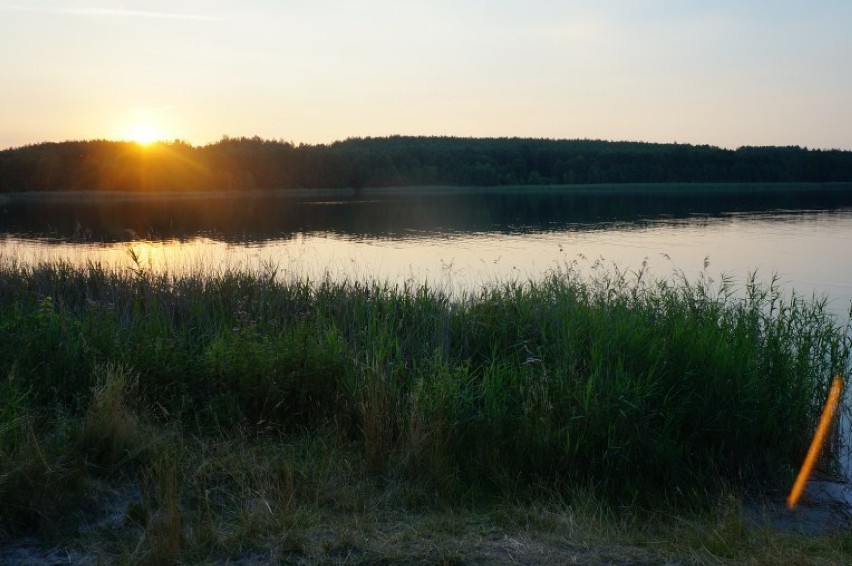 Jezioro Budzisławskie