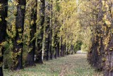 Piękna i kolorowa jesień w Katowicach. Pogoda w październiku jest wciąż ładna. Oto Dolina Trzech Stawów i Park Śląski