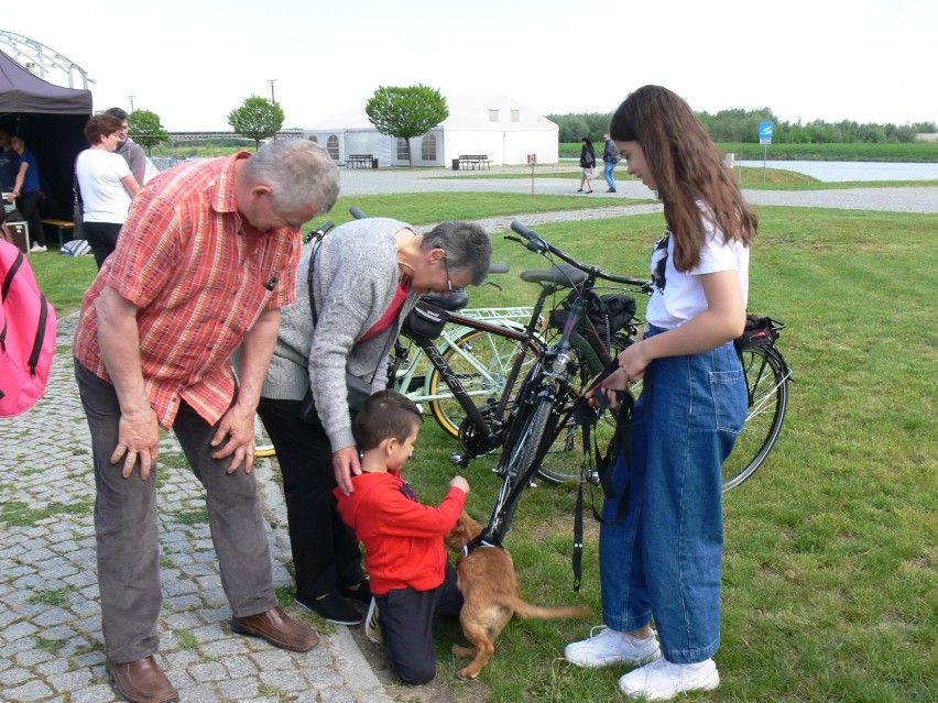 Najmłodsi uczestnicy pikniku głaskali podopiecznych...