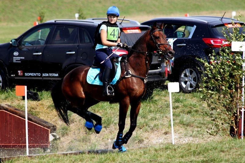 Weronika Kalina z Jaworzna i koń Dakk znów z sukcesami