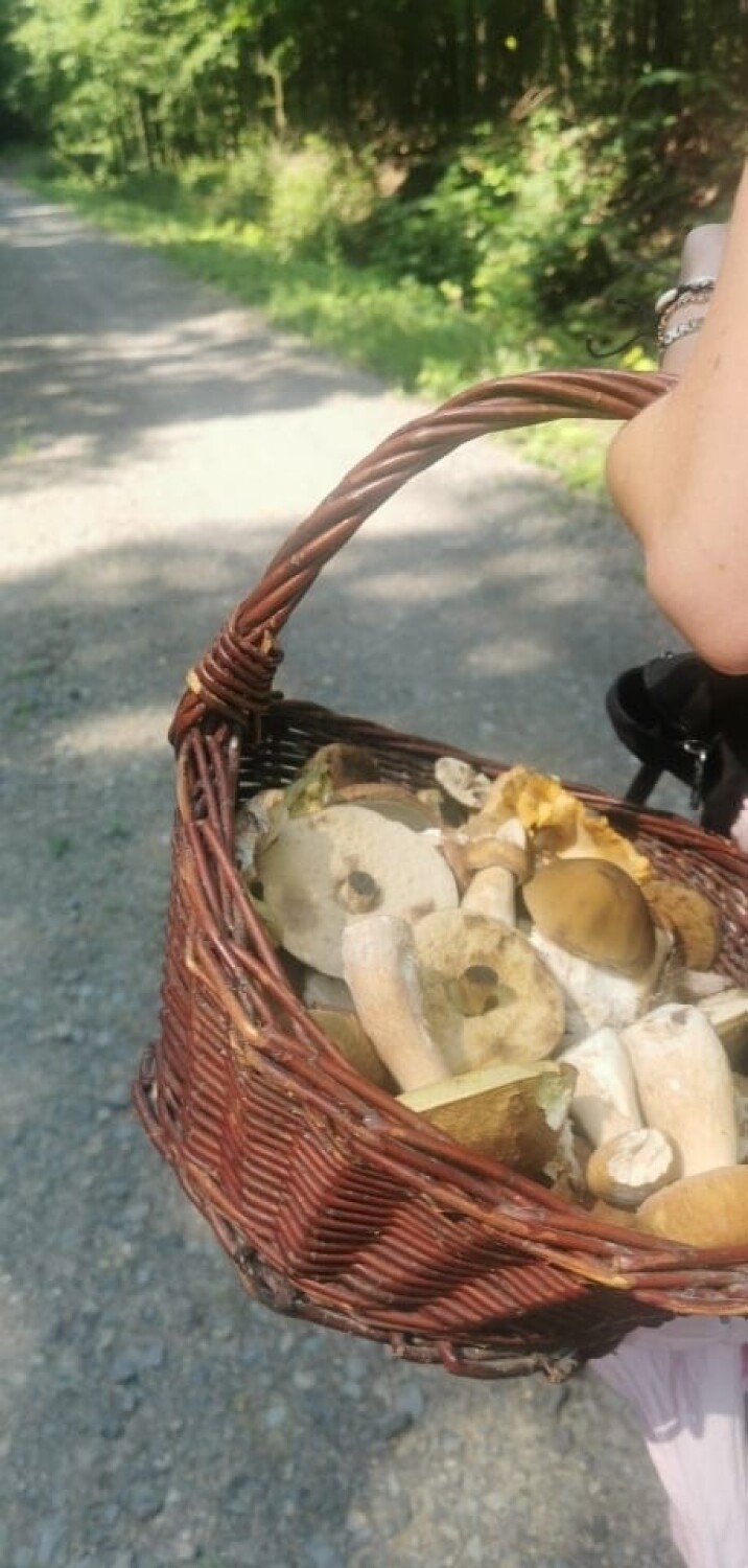 Koszyki w dłoń! W lasach pełno grzybów! Nasi Czytelnicy pochwalili się swoimi grzybowymi zbiorami. Zobacz zdjęcia