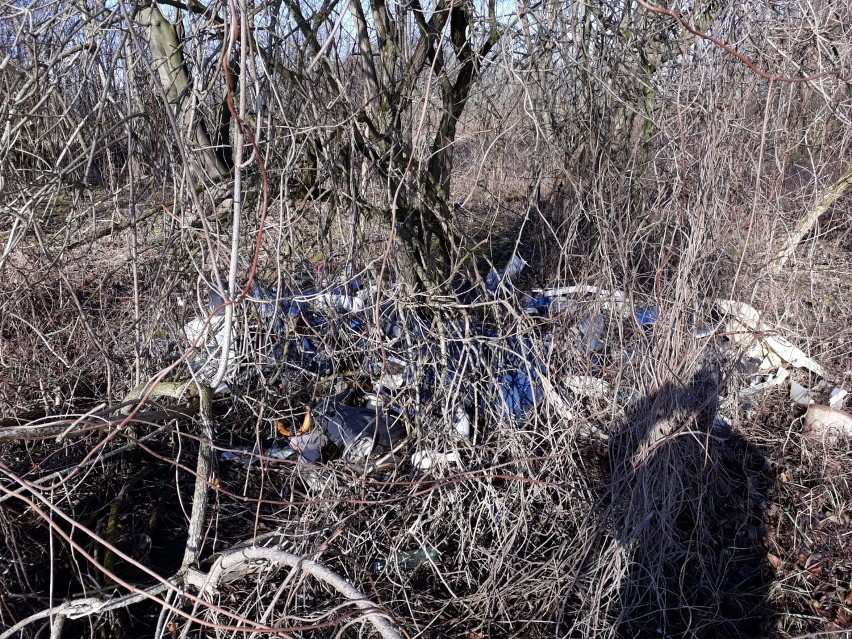 Dzikie składowisko śmieci w Harklowej. Zobaczcie, czego ludzie nielegalnie się pozbyli