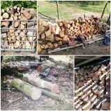 Gmina Szamocin: Kradzież drewna i 3 tysiące złotych strat. Sprawcy grozi wysoka kara