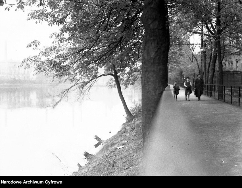 Chorzów. Fragment miasta nad stawem. (1936)
Zobacz kolejne...