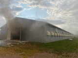 Pożar w Wielichowie-Wsi. Straty sięgnęły 400 tysięcy złotych